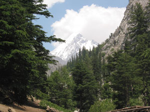 Nature of Swat