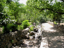 Way to Shankur