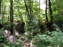 Trekking path
