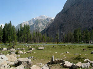 Kalam / Mohedand