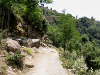 nature of bahrain