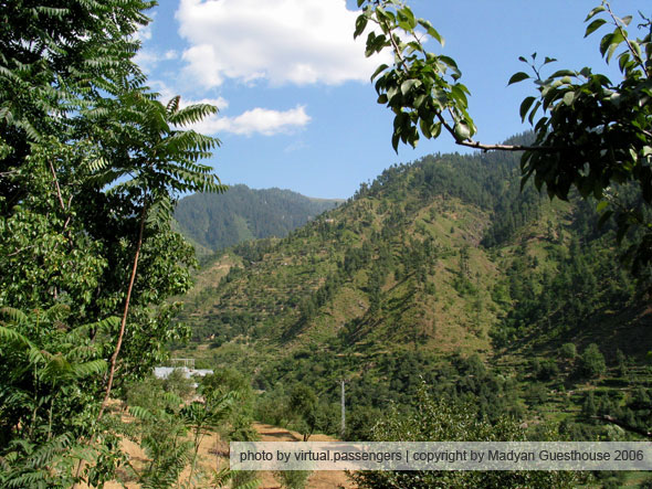 miandam's nature
