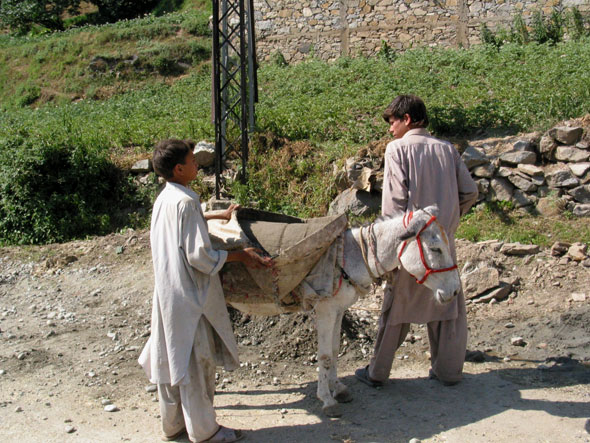 children with donkey