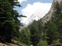 K2