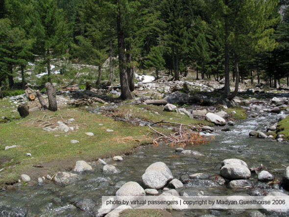 small river