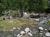 small river